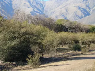 LOTES EN TRASLASIERRA LA POBLACIÓN foto 4