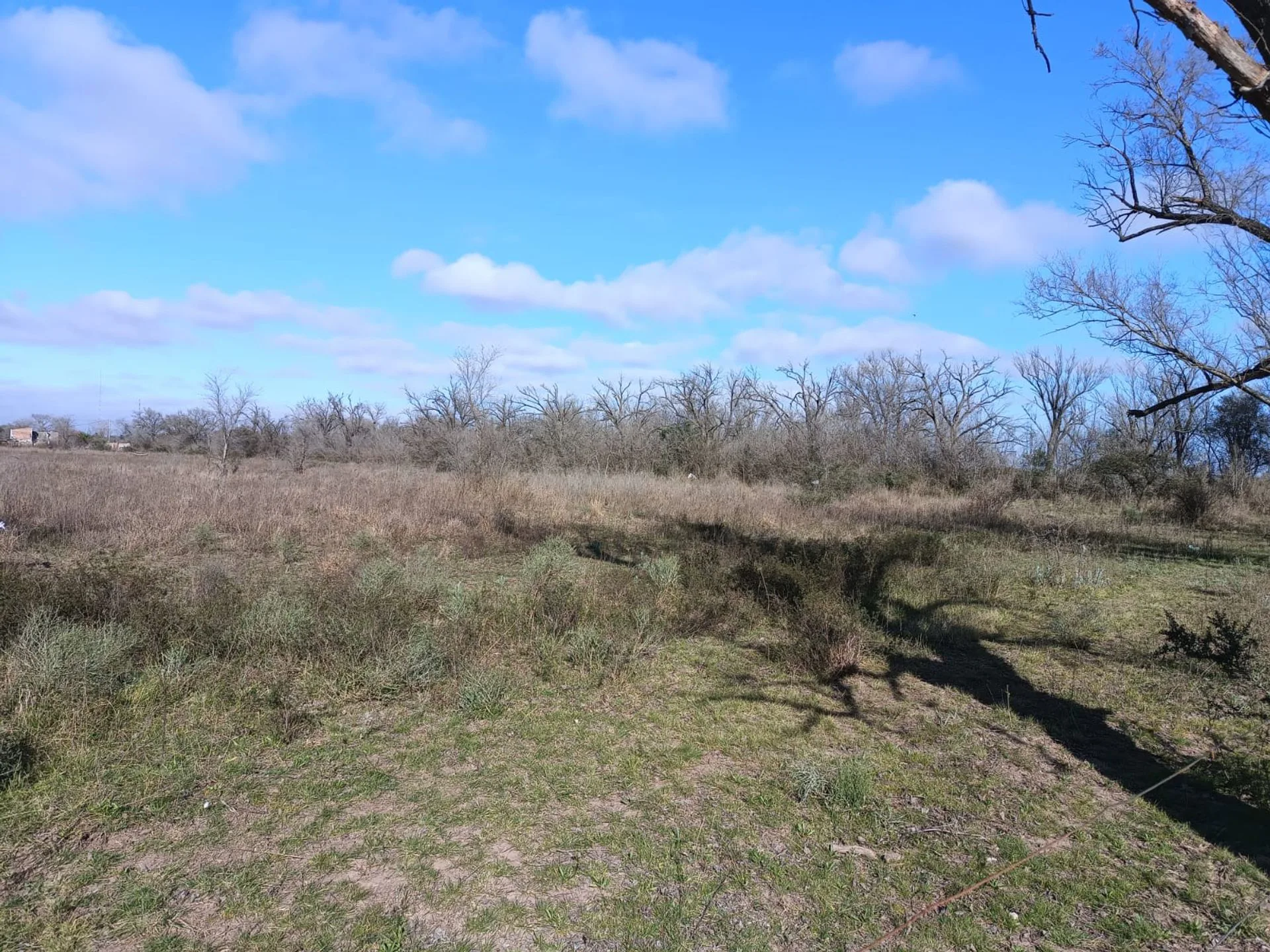 Lote Industrial 1ha Cno Quebrachal y Av Malvinas foto 3