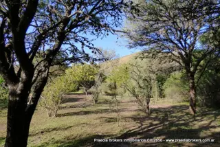 Importante Fracción En Villa Ciudad Parque Los Reartes - 2.94has foto 3