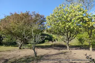 Importante Fracción En Villa Ciudad Parque Los Reartes - 2.94has foto 4