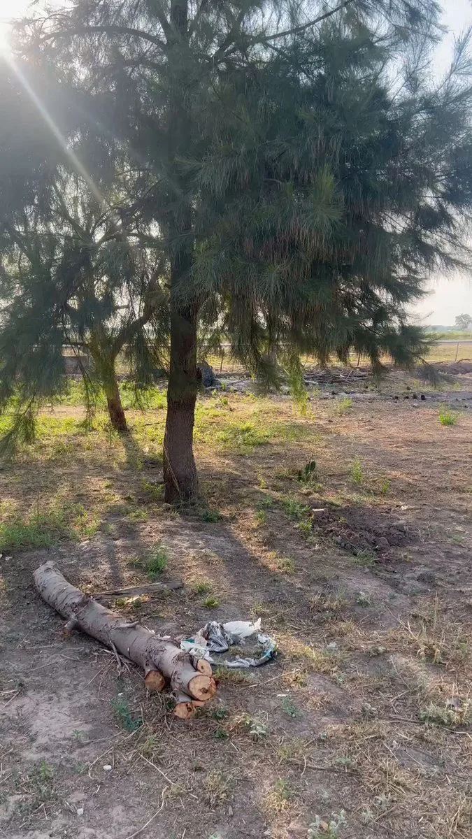 VENTA DE LOTE SOBRE RUTA 9 CON PILETA foto 4