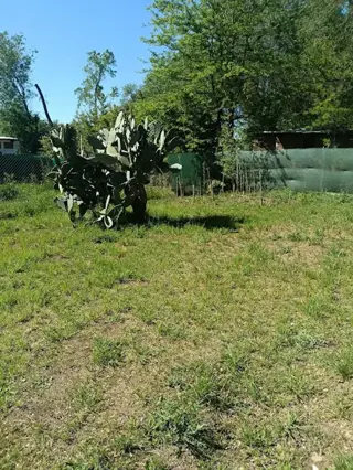 Venta Cabaña Prefabricada 2 dormitorio en Anisacate Los Chañaritos U$S27.000. foto 4