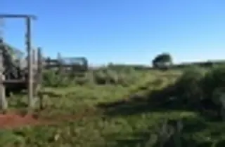CAMPO GANADERO A LA VENTA foto 4