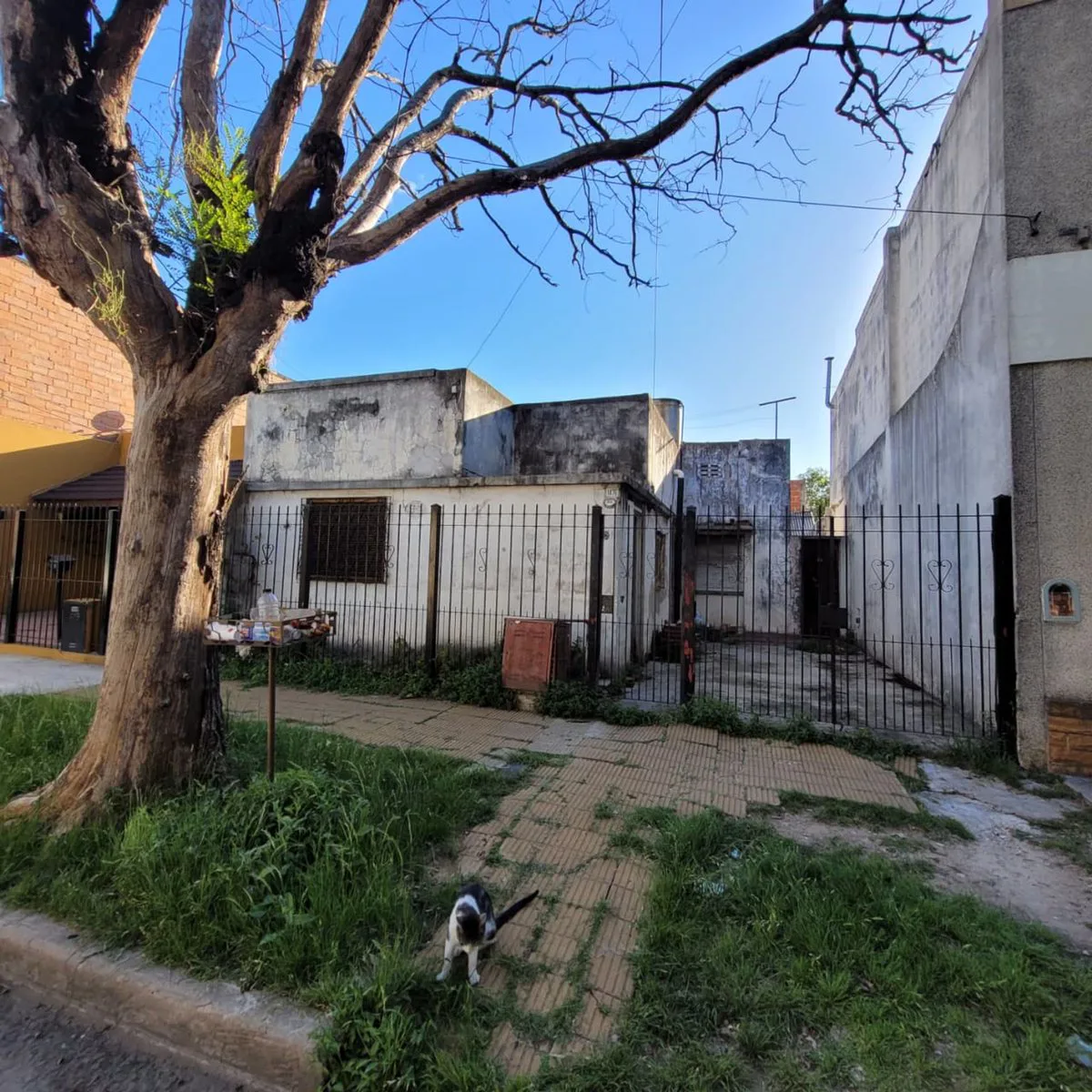 LOTE CON CASA A DEMOLER