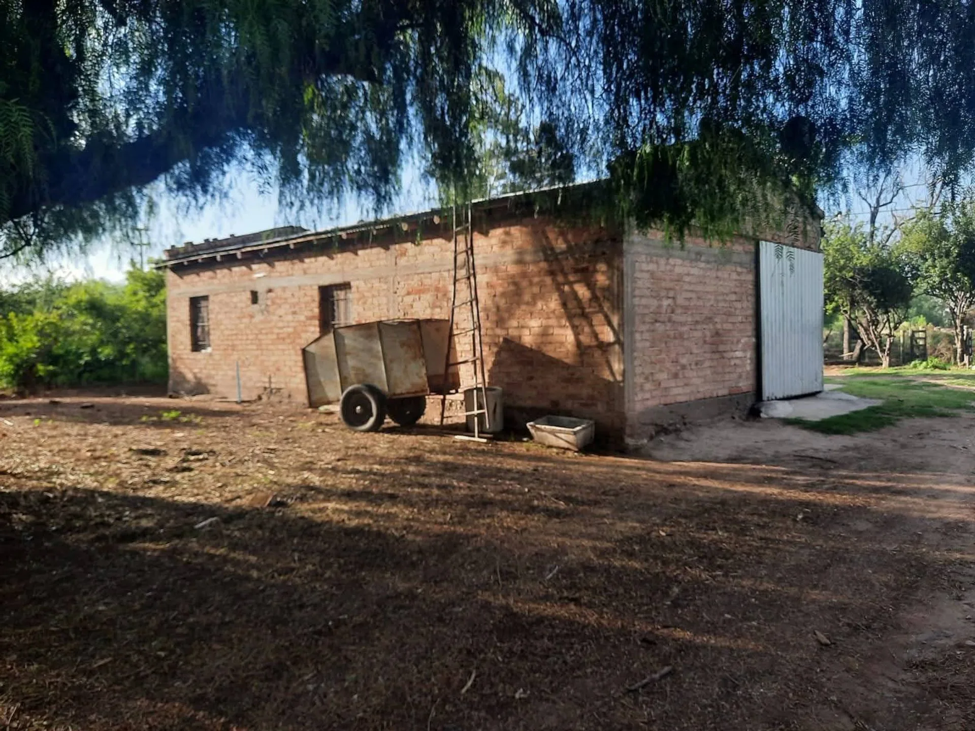 FINCA PRODUCTIVA EN VENTA + CASA RURAL Y GALPON foto 2
