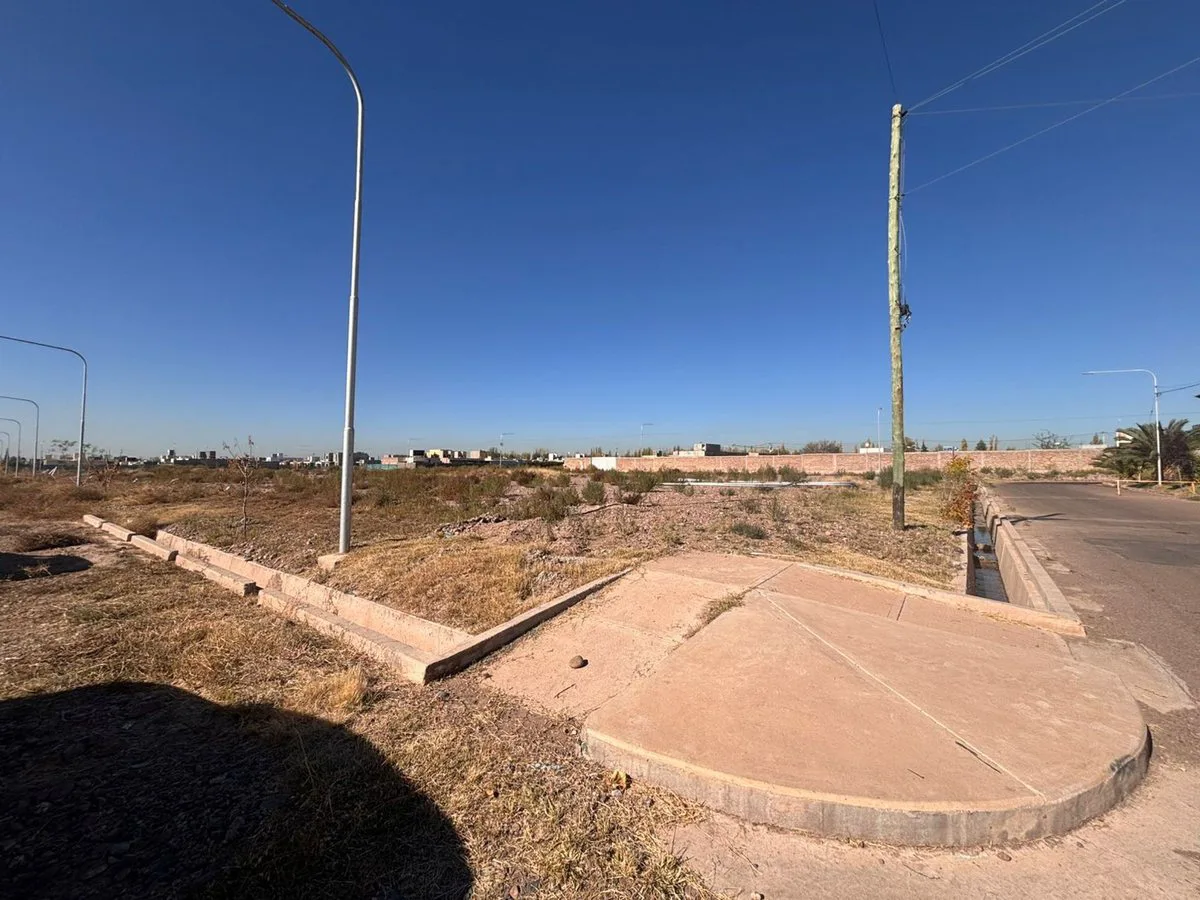 VENTA LOTE VIEJO TONEL II foto 2