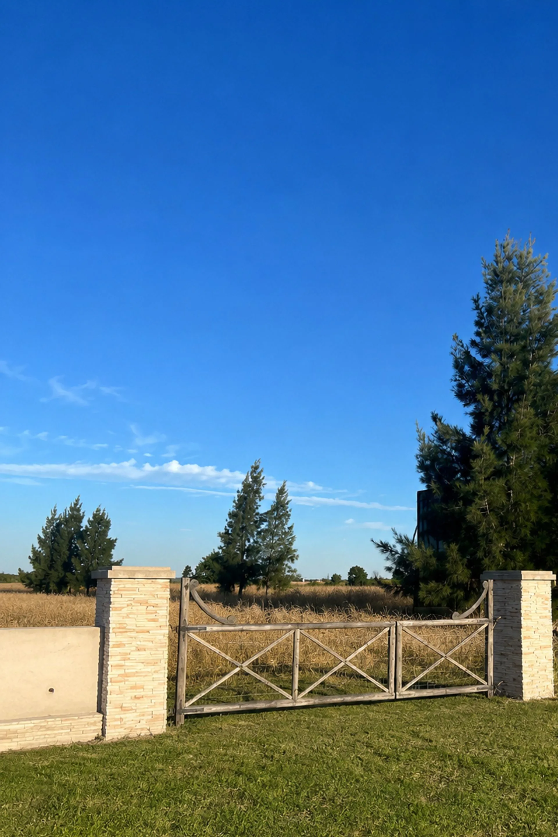 Lote  2 hectáreas  en Venta - Ruta 2 Brandsen foto 2