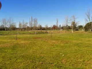 VENTA DE LOTES APTOS PARA CREDITO PROCREAR EN CARLOS CASARES foto 4