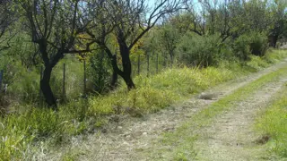 VENTA EN TRASLASIERRA LA POBLACIÓN foto 1