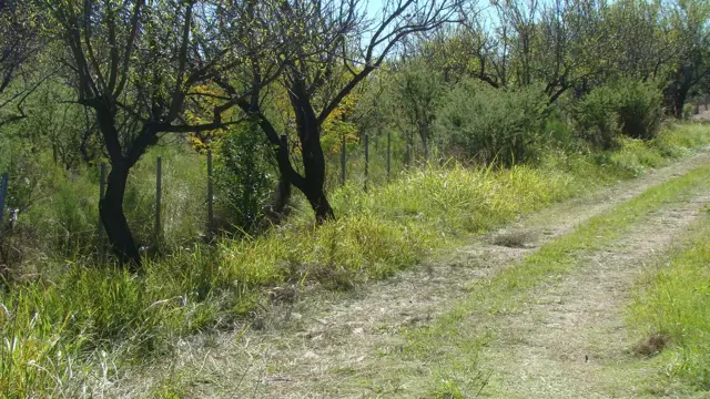 VENTA EN TRASLASIERRA LA POBLACIÓN