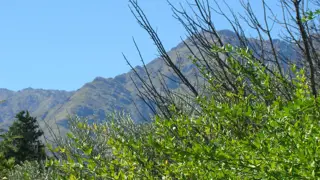 VENTA EN TRASLASIERRA LA POBLACIÓN foto 4