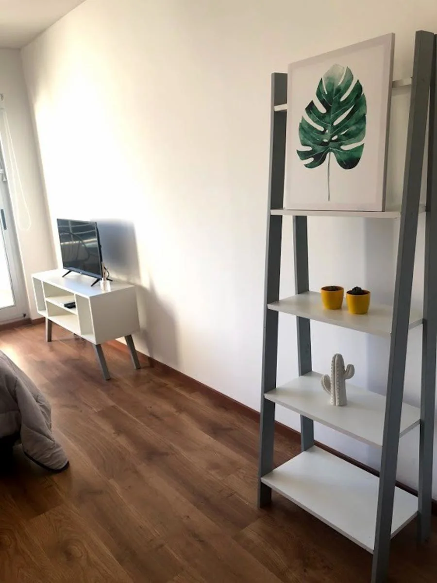 1-bedroom apartment in Villa Crespo – photo 4 of 18