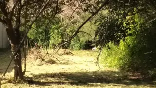 Lote Terreno En Venta 440 m2 - La Reja, Moreno foto 3