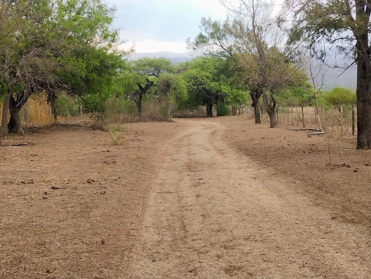 SE VENDE FINCA, RUTA 38 KM 614 PACLIN. FACILIDADES foto 5