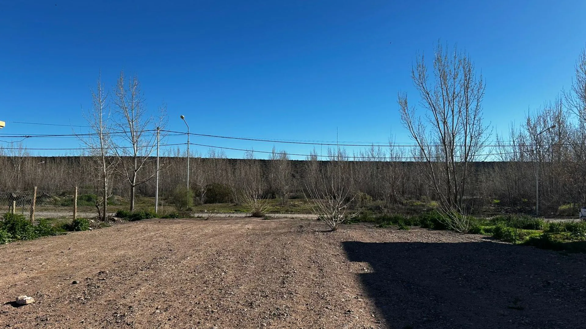 LOTE DEFORESTADO Y NIVELADO, LA FORESTADA, AÑELO foto 4