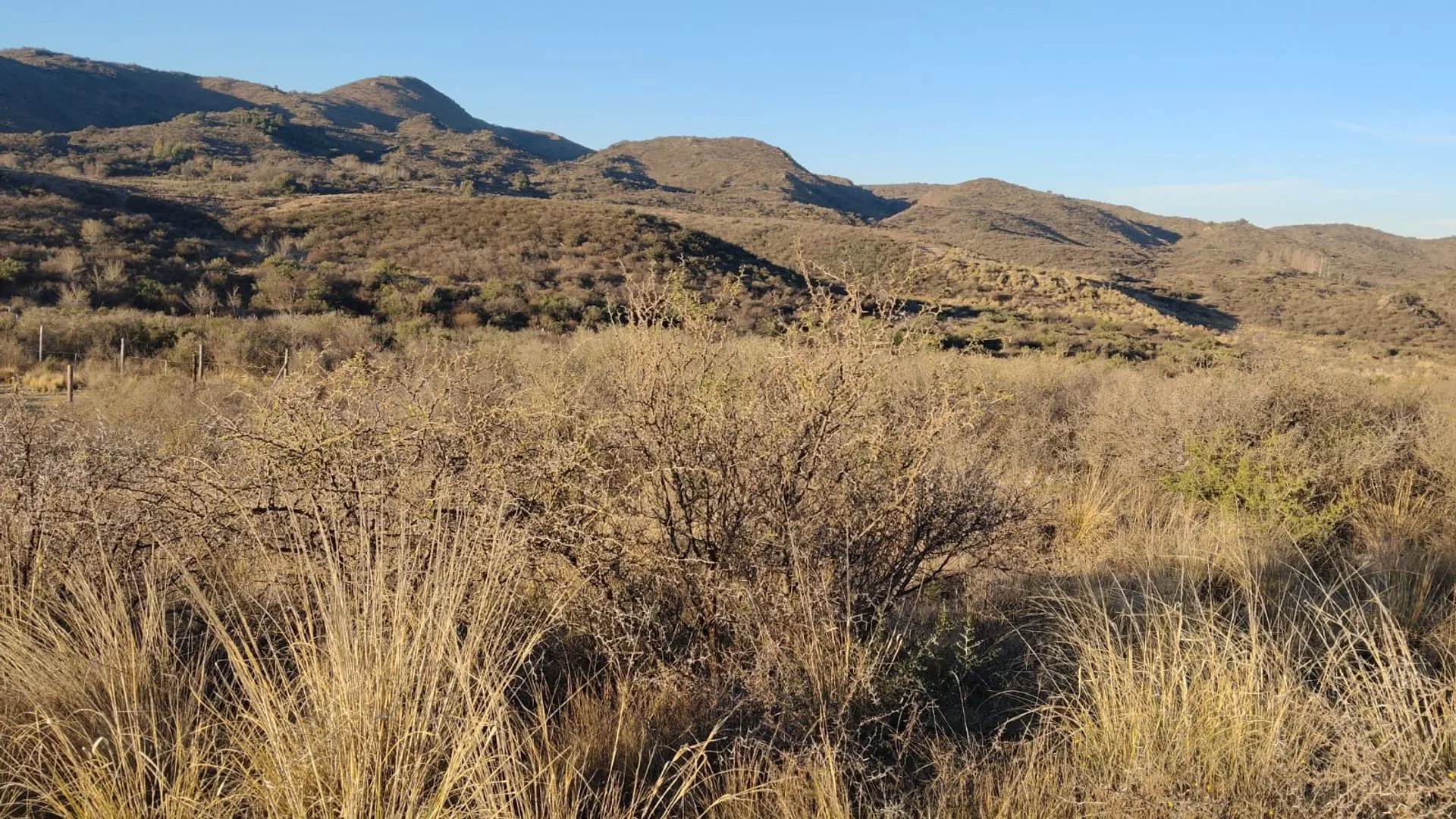 VENDO TERRENO EN POTRERO DE LOS FUNES SAN LUIS foto 4