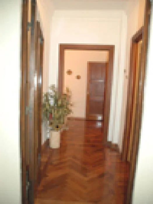 2-bedroom apartment in San Nicolás – photo 9 of 9