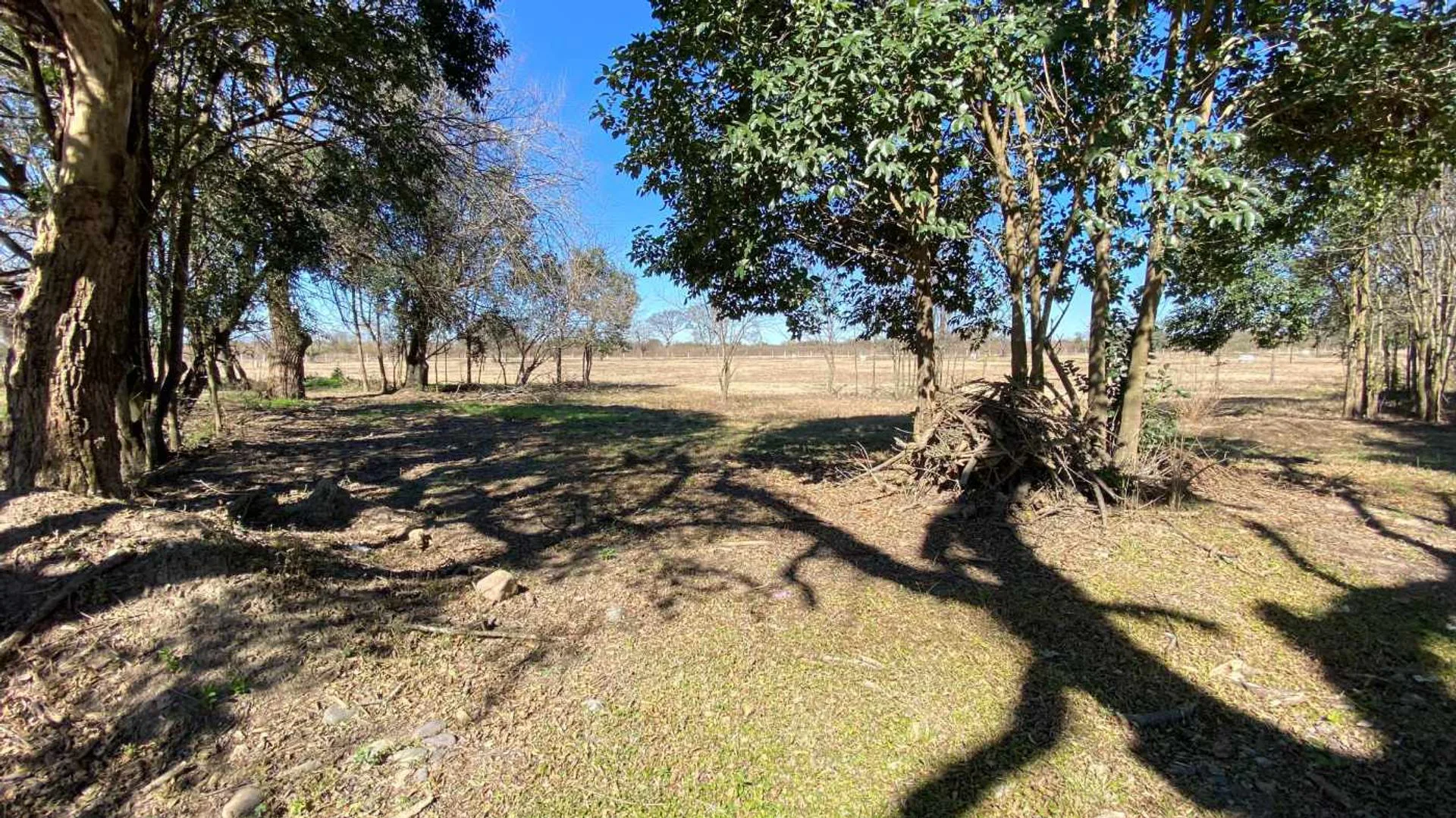 Venta terreno en La Arbolada San Lorenzo Chico foto 5