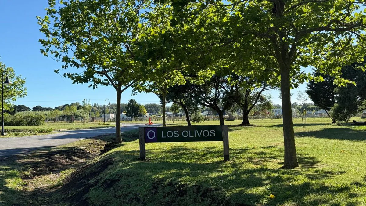 VENTA LOTE 675M2 EN RUMENCO BARRIO LOS OLIVOS foto 2