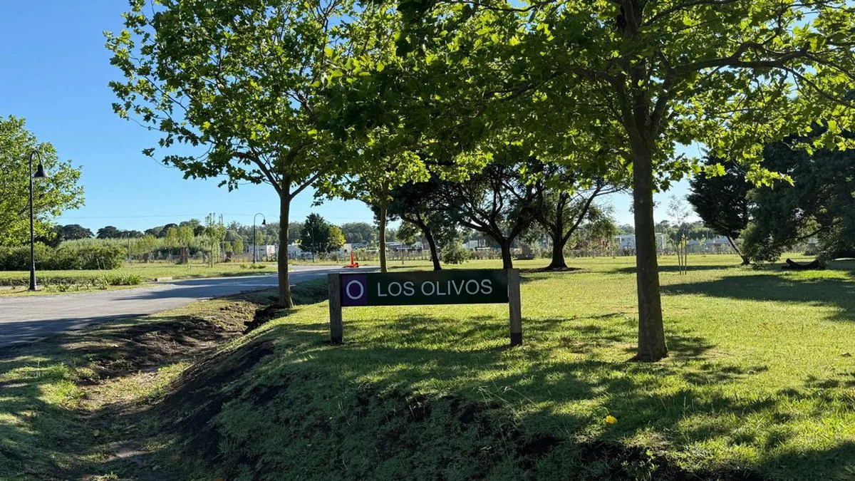 VENTA LOTE 675M2 EN RUMENCO BARRIO LOS OLIVOS foto 5