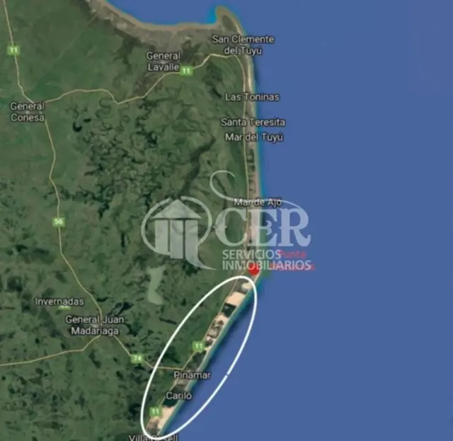 221 HECTAREAS PUNTA MEDANOS