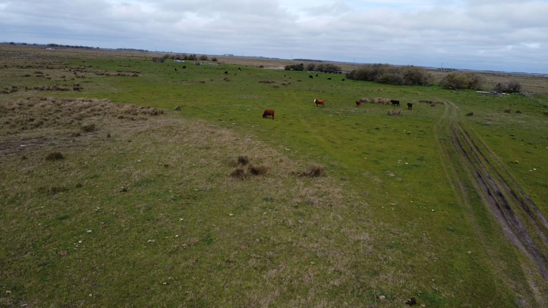 Campo Venta Gral. Lavalle 249 ha.- Sobre Asfalto foto 2