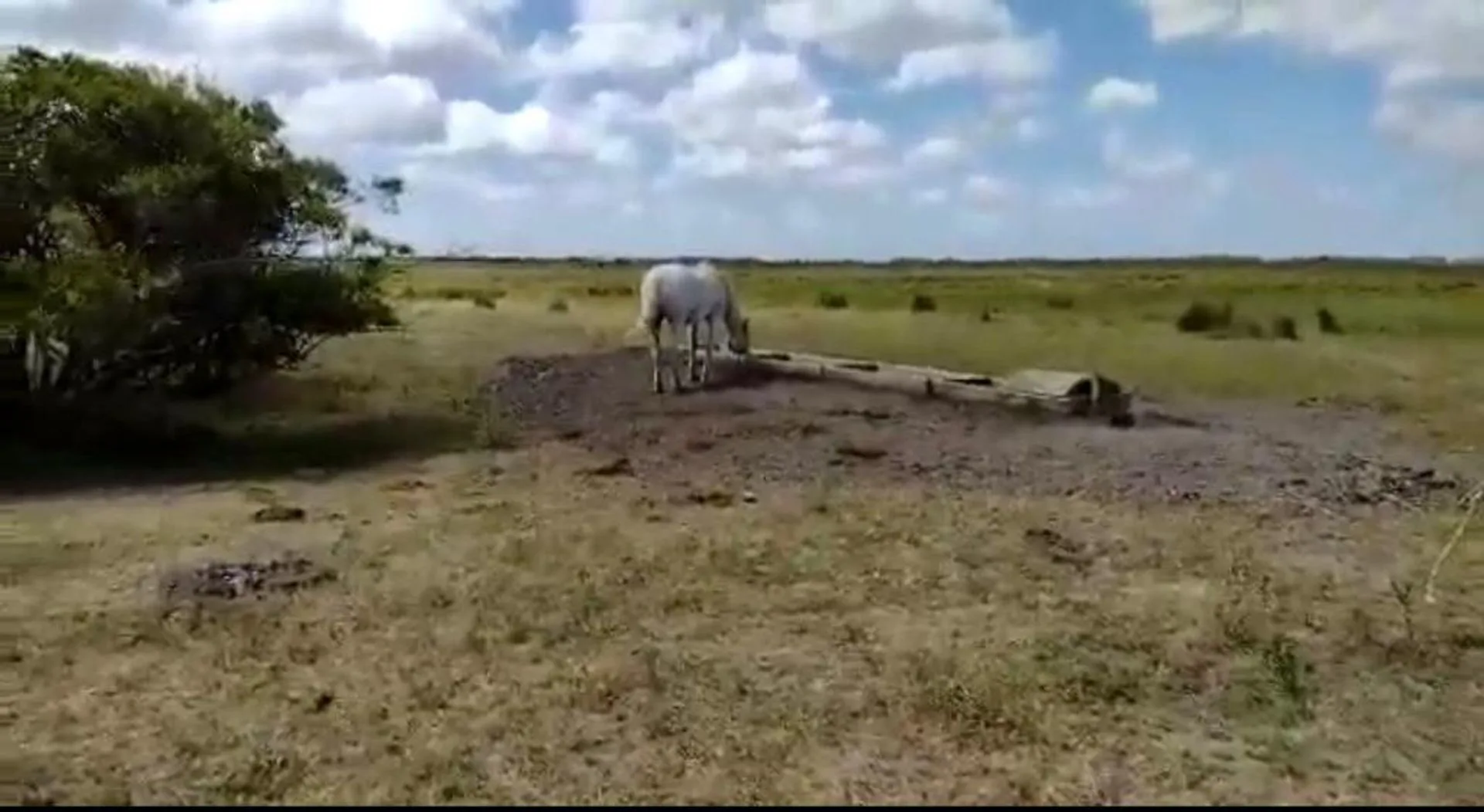 Campo Venta Gral. Lavalle 249 ha.- Sobre Asfalto foto 4