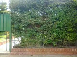 VENTA DE CASA EN BELLA VISTA , APTO CREDITO foto 5