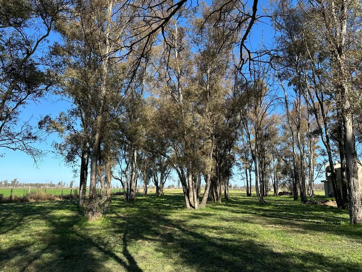 CHACRAS EN VENTA DE 3.000 M² EN CHACRAS DEL RINCÓN foto 2