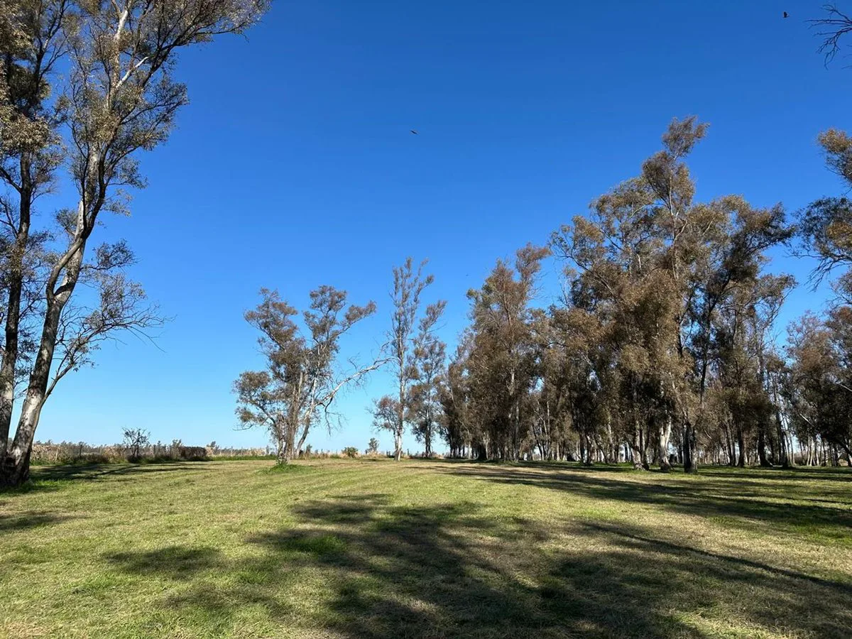 CHACRAS EN VENTA DE 3.000 M² EN CHACRAS DEL RINCÓN foto 5
