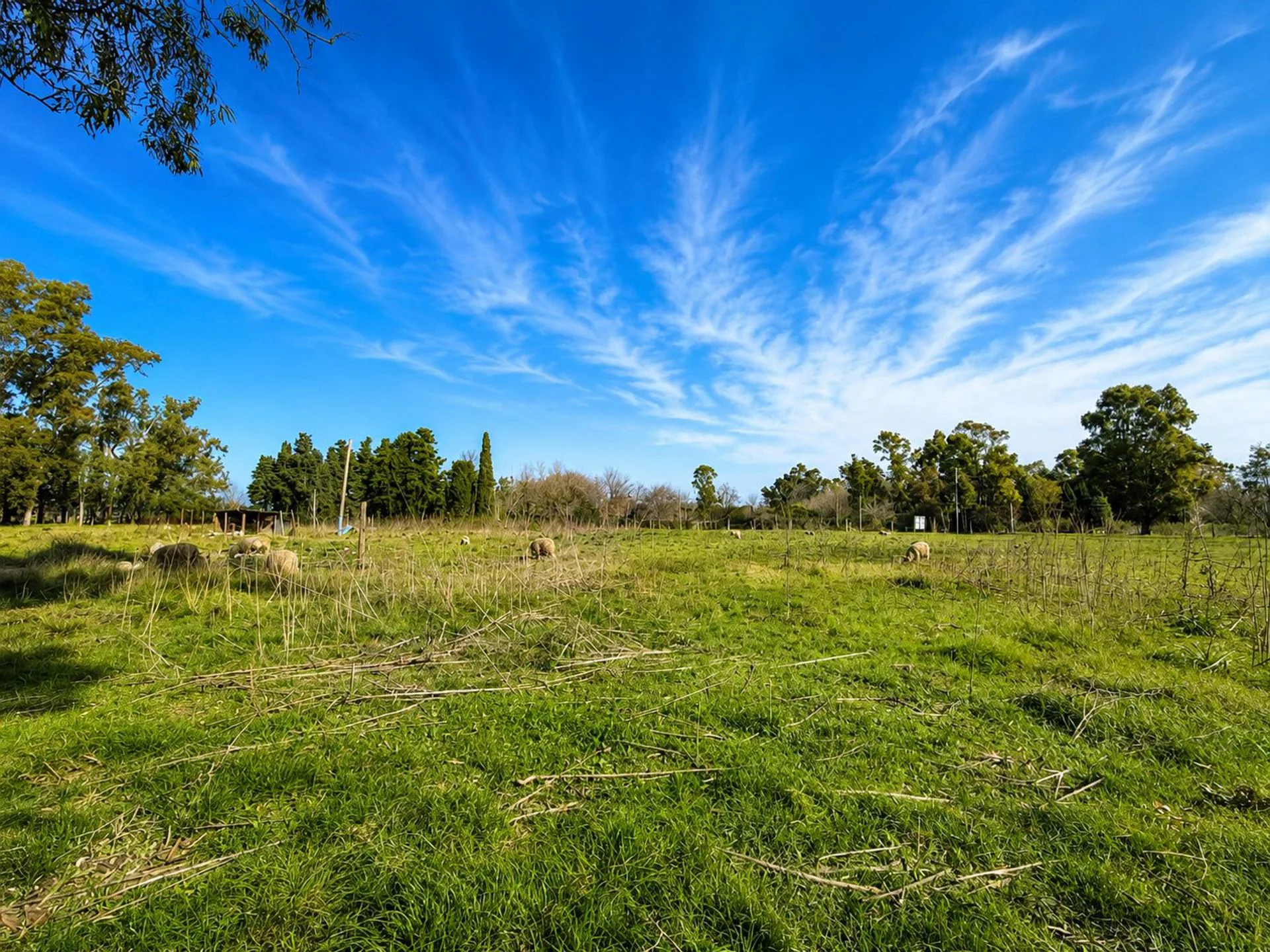 VENTA LOTE VIRREY DEL PINO foto 3