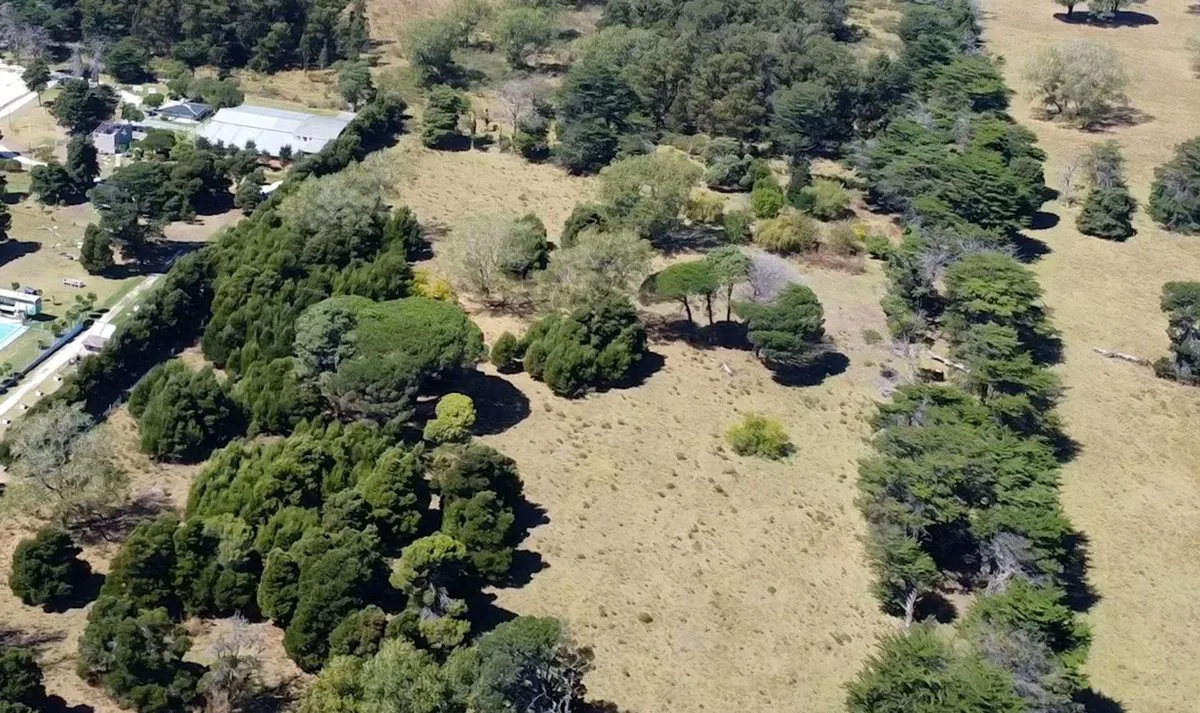 LOTE 1410 MT2 MONTE TERRABUSI foto 3