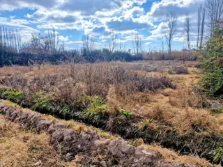 Terreno en venta Lujan de Cuyo foto 2