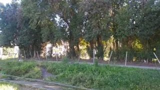 ÚNICO LOTE SOBRE RICARDO ROJAS AL 8100 foto 2