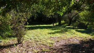 ÚNICO LOTE SOBRE RICARDO ROJAS AL 8100 foto 3