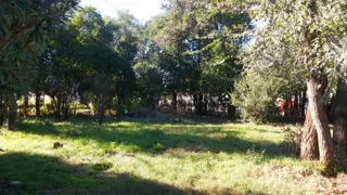 ÚNICO LOTE SOBRE RICARDO ROJAS AL 8100 foto 4