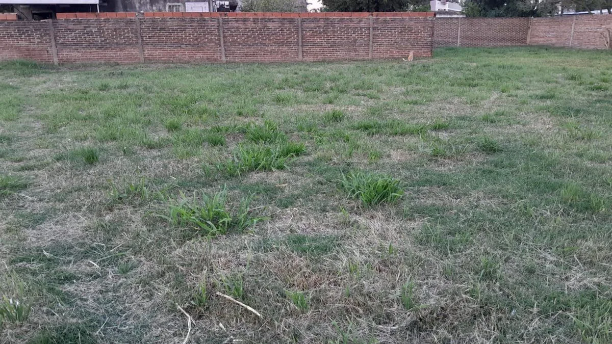 Oportunidad terreno Santo tomé foto 2