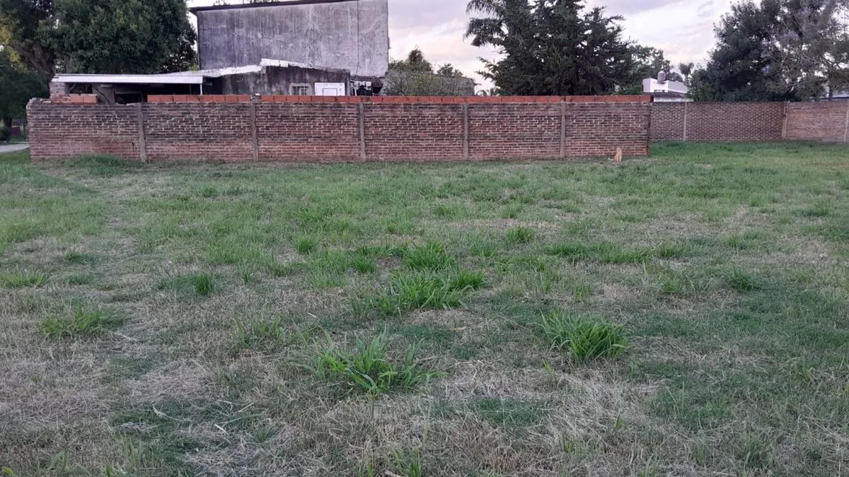 Oportunidad terreno Santo tomé foto 3