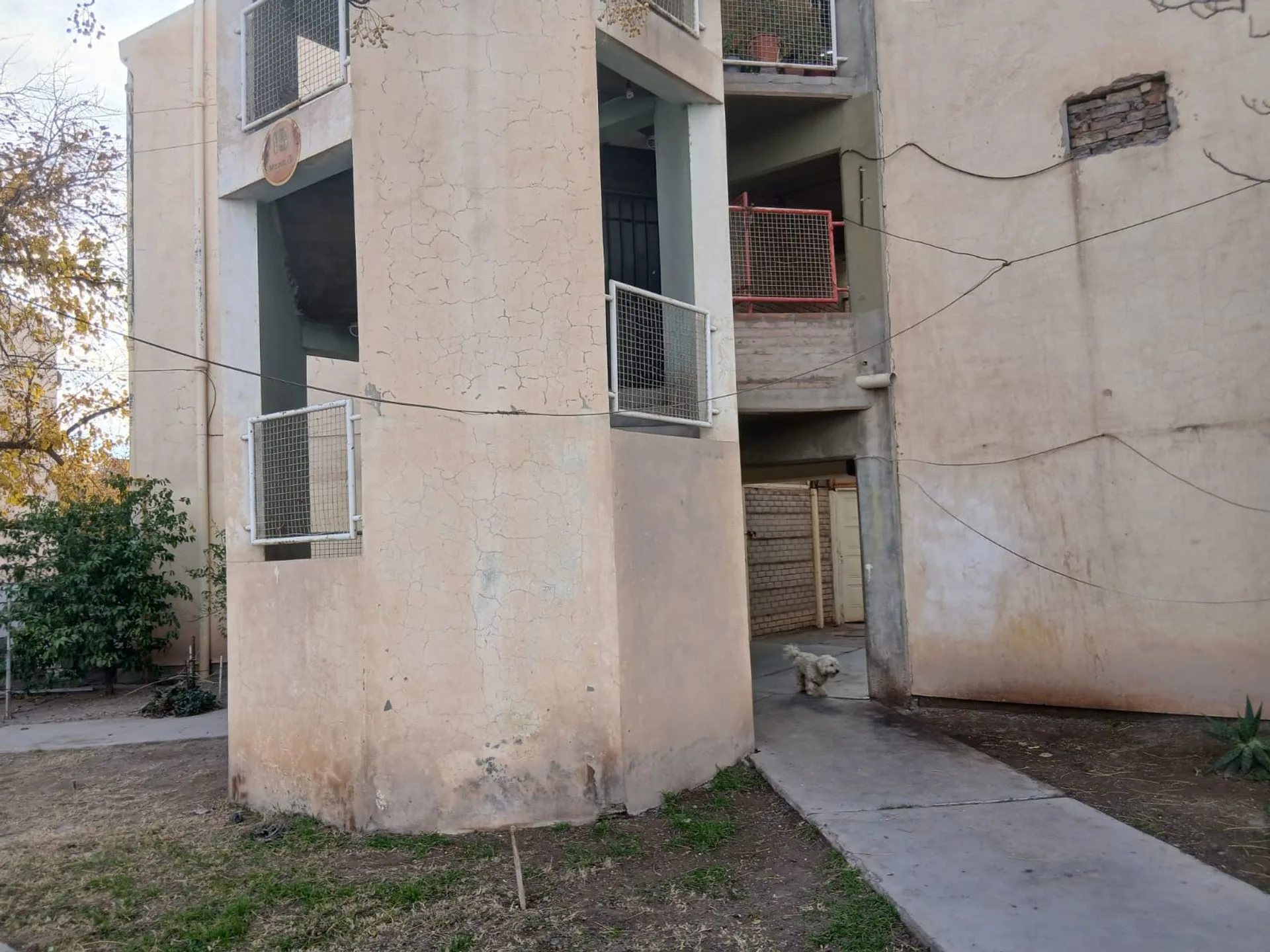 VENTA DEPARTAMENTO RIVADAVIA NORTE 2 DORMITORIOS foto 3