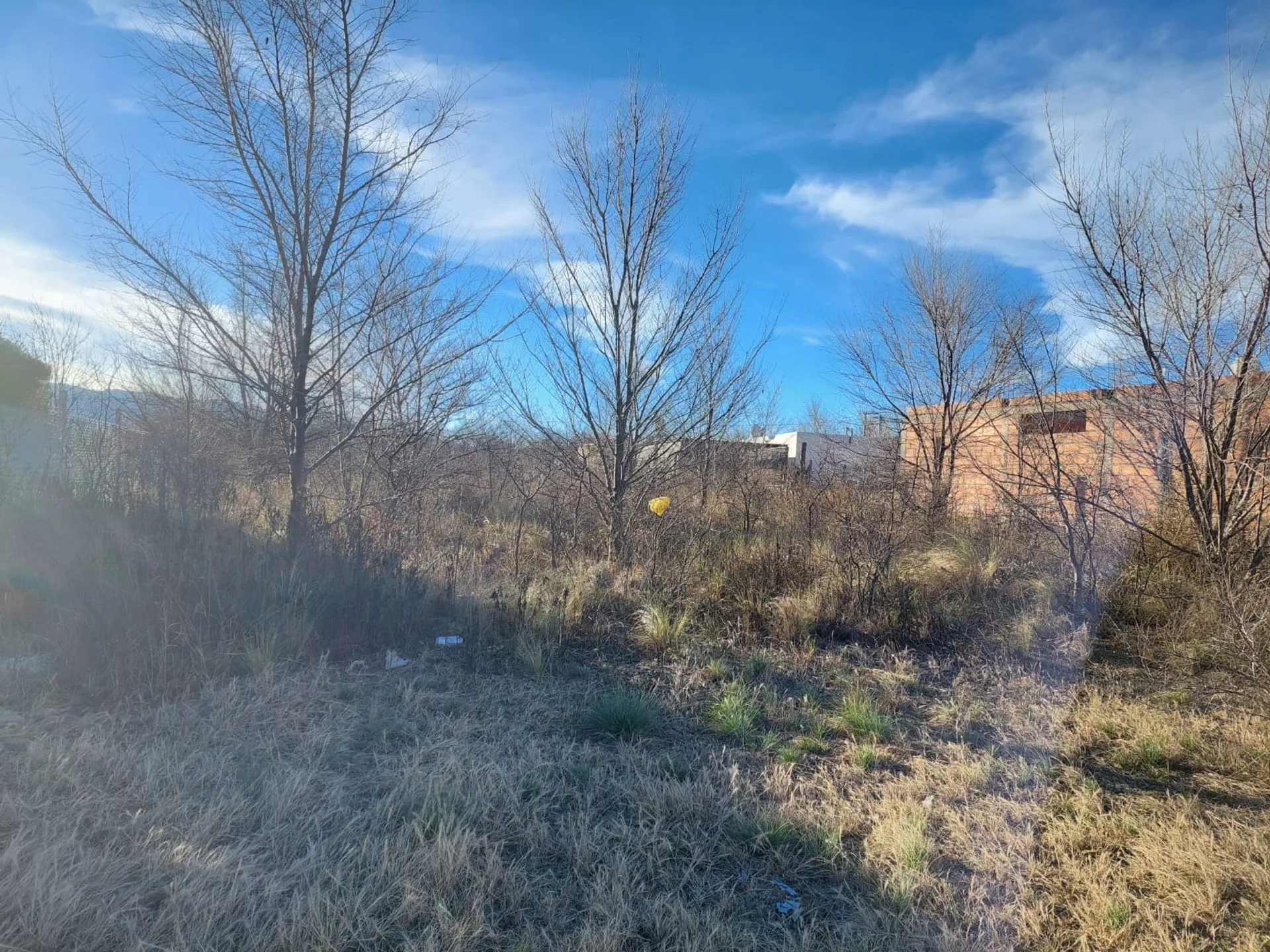 URGENTE!!! VENTA TERRENO EN LA DELFINA - EL VOLCÁN foto 5