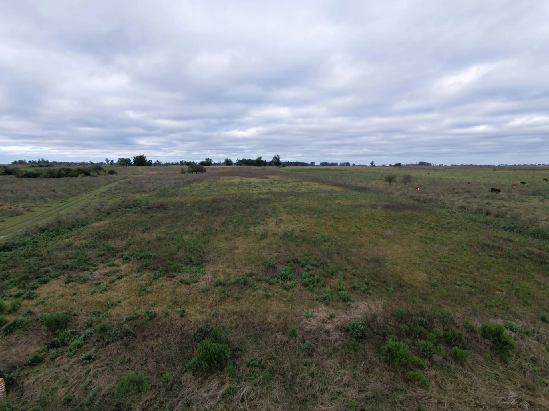 Campo de 2.3 HA en Venta Col San Antonio Goya Ctes foto 3