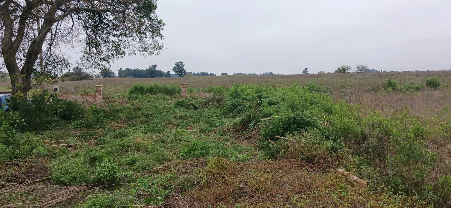 Campo de 2.3 HA en Venta Col San Antonio Goya Ctes foto 4