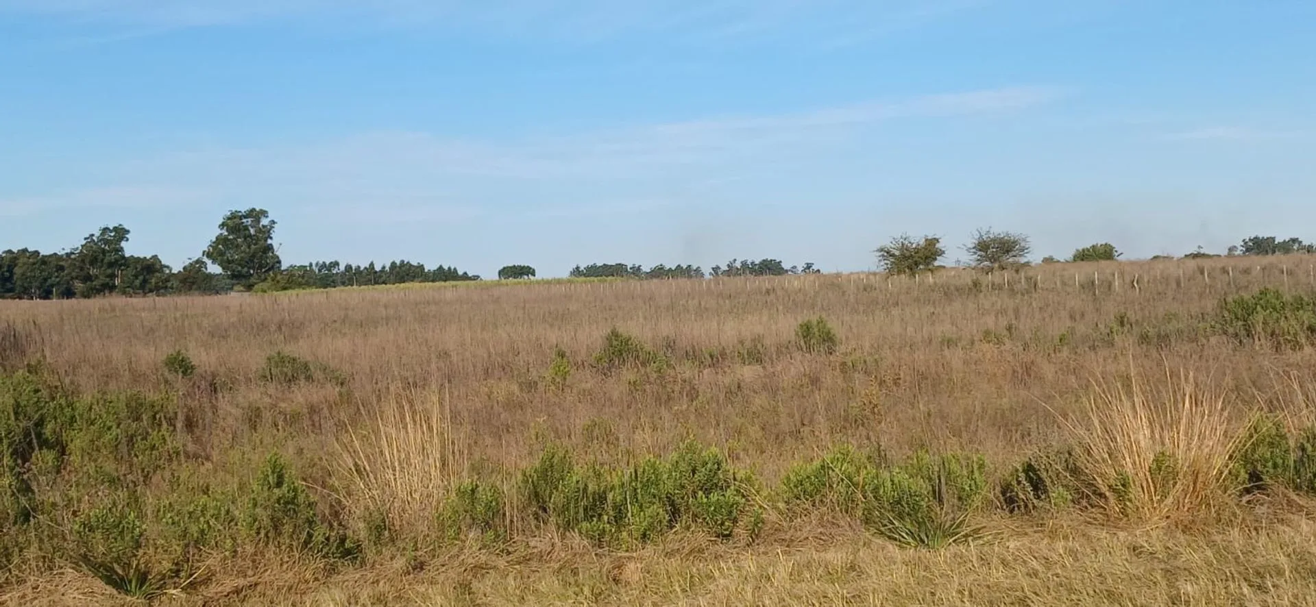 Campo de 2.3 HA en Venta Col San Antonio Goya Ctes foto 5