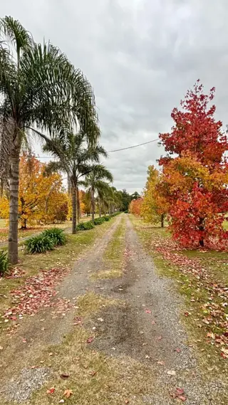 Excelente Lote de terreno en VENTA, ubicado en El Barrio Don Carlos, en el acceso a la Ciudad de Baradero foto 2