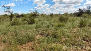 14500 ha ganaderas La Paz, Mendoza foto 2