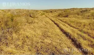 14500 ha ganaderas La Paz, Mendoza foto 4