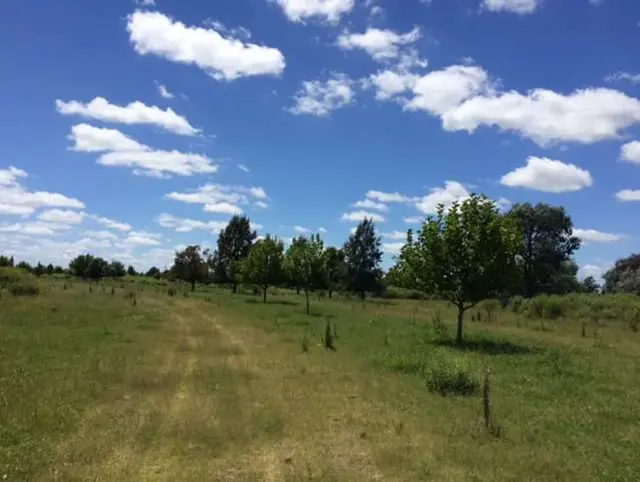 Km 185, Autovia 6 - Lote: 116