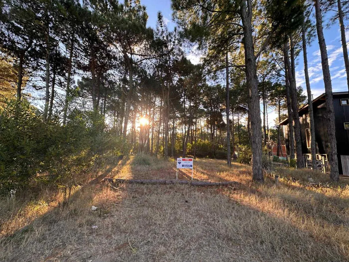 VENTA LOTE PINAMAR NORTE foto 3