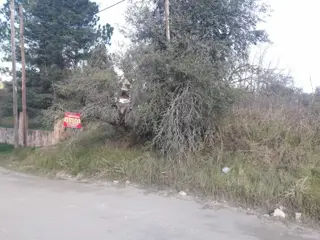 LOTE de 800 m2, a mts de la ruta, con muy buena vista alas montañas, con todos los servicios, a una cuadra del centro civico, dispensario, ESCRITURA. foto 4