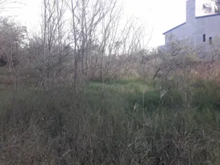 LOTE de 800 m2, a mts de la ruta, con muy buena vista alas montañas, con todos los servicios, a una cuadra del centro civico, dispensario, ESCRITURA. foto 5